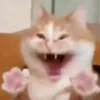 quaivatbuoito