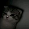 im_1jan