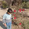 ranayousaf636