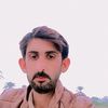 gulshir114