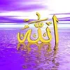 user2724067530087