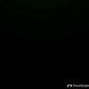 pabloleiva6275
