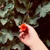 b_jm004