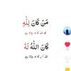 shami6737