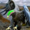 user032447669