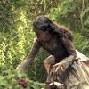 narniaaloverr