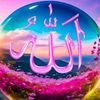 user1509076712445
