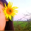 dandelionwah2605