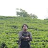 alwi.lubis09