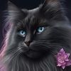 am_cat2