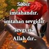 user2881450142318
