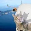 fluffishv00