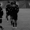 andrade_340