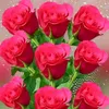 user2994024841122karwan