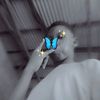 _lover_boi