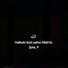 herseyaxsiolar