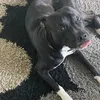 edgar.patricio.aguilar