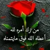 user75396600926298