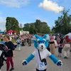 bluey_the_corgi