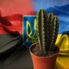 cactus9222
