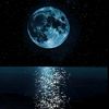 lyna._nihal._