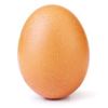 eggnumber3678