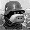 Post Diyarı
