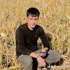 yanliz.63.aslan