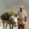 san_osman