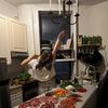 eastvillagekitchen