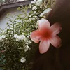 m_ariiysz