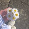 daisyforlove__