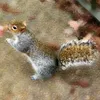 thecurioussquirrel