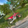85_rippa229