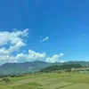 mai.ngoc.0