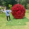lvl2604