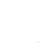 ak_bear2