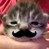 meoooo0729