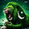 imrankhokhar42