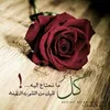 user2191853334738
