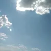 cantdonothing1