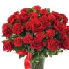 shorhab.bepari4