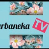 serbaneka.ku1