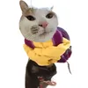 chizellynn