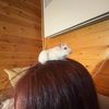 kote20120705