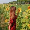 soe.myat3103