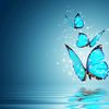 fatima.rafiq35