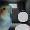 tuytuy6907