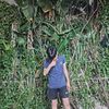 dimz_permun11