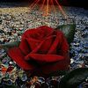 alba_luzflores